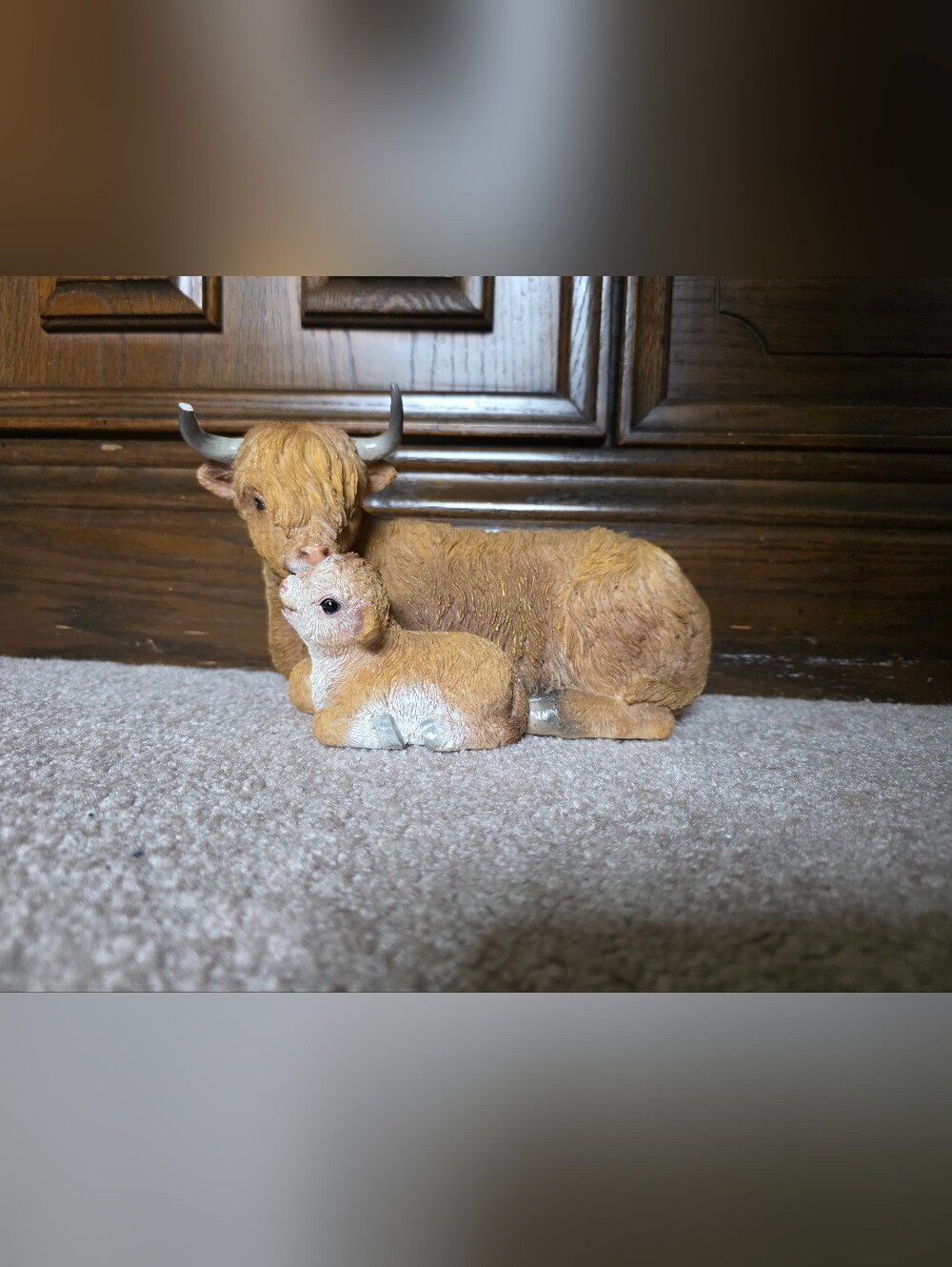 Mother Highland Cow With Calf